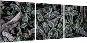 Obraz - Zamrożone rośliny (z zegarem) (90x30 cm)