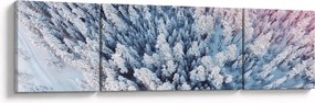 Obraz ośnieżonych drzew (170x50 cm)