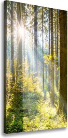 Foto obraz canvas pionowy Słońce w lesie