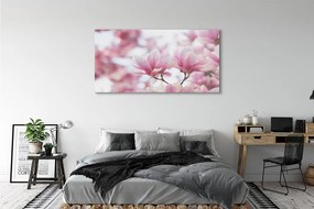 Obraz akrylowy Magnolia drzewa