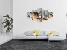 Obraz - Jelonki (125x70 cm)