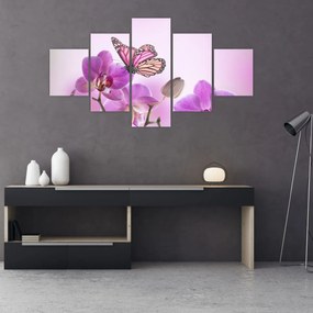 Obraz - Motyl na kwiatach orchidei, liliowy (125x70 cm)