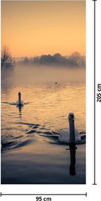 Fototapeta na drzwi - Łabędzie na wodzie we mgle (95x205cm)