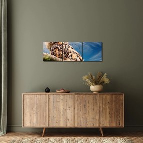 Obraz sowy (z zegarem) (90x30 cm)