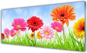 Panel Kuchenny Kwiaty Wśród Polnej Trawy