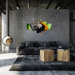 Obraz papugi (125x70 cm)