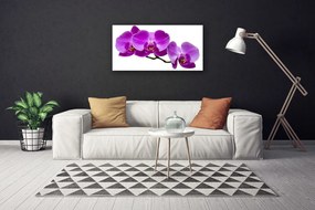 Obraz drukowany na płótnie Kompozycja Świeżych Kwiatów