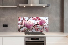 Panel nad Blat Kuchenny Magnolie w Sercu Parku