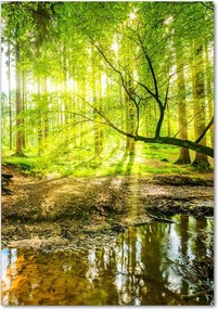 Foto obraz szklany pionowy Strumień w lasie