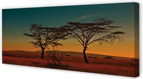 Duży obraz na płótnie Drzewa na Tle Nieba