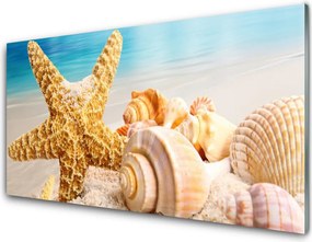 Panel Kuchenny Nadmorskie Skarby: Rozgwiazda