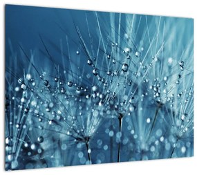 Obraz na szkle - Krople rosy (70x50 cm)