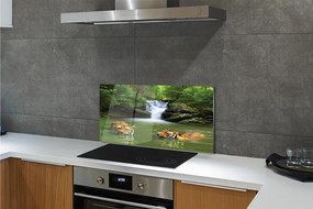 Szklany Panel Tygrysy przy Wodospadzie