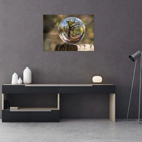 Obraz na szkle - Odbicie w szklanej kuli (70x50 cm)