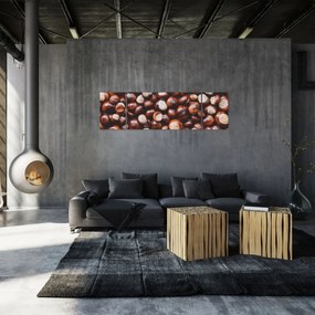 Obraz - Dojrzałe kasztany (170x50 cm)
