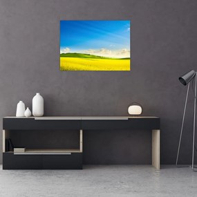 Obraz - Wiosenne niebo (70x50 cm)