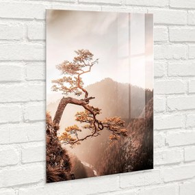 Szklany obraz 50x70 cm Brown Tree – Styler