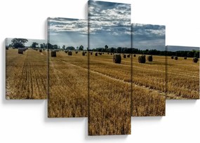 Obraz zebranego pola zboża (125x70 cm)