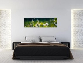 Obraz - Trawa (170x50 cm)