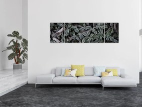Obraz - Zamrożone rośliny (170x50 cm)