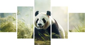 Obraz - Panda (125x70 cm)