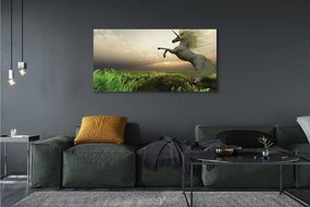 Obraz drukowany na płótnie Jednorożec na Polu