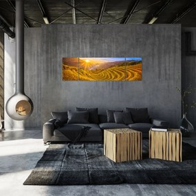 Obraz - Pole ryżowe w Wietnamie (170x50 cm)