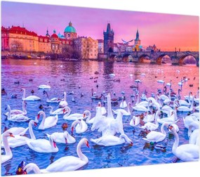 Obraz - Praga (70x50 cm)