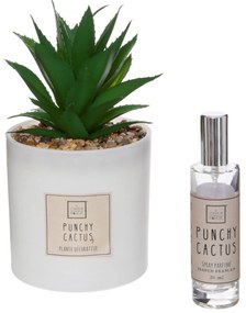 Sztuczna roślina z olejkiem zapachowym PUNCHY CACTUS