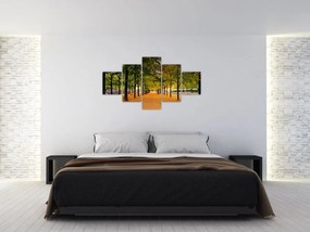 Obraz alei jesiennych drzew (125x70 cm)