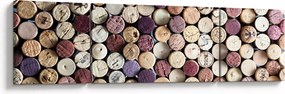Obraz - Sezon na wino (170x50 cm)