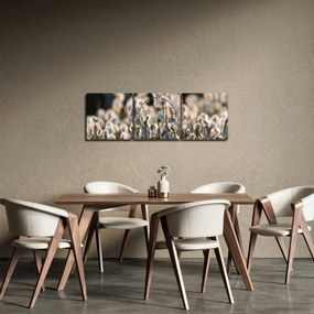 Obraz - Biała wełnianka (z zegarem) (90x30 cm)