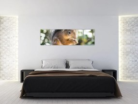Obraz wiewiórki (170x50 cm)