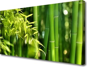 Obraz canvas Botaniczny Motyw Bambusa