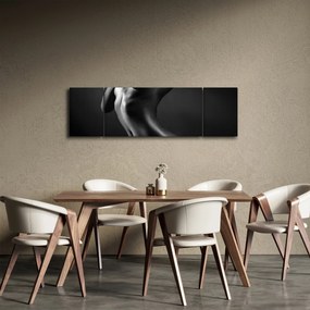 Obraz - Nagie kobiety (170x50 cm)