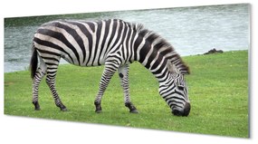 Szklany Panel Zebra