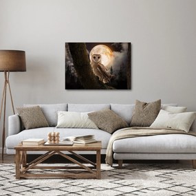 Obraz sowy palonej (70x50 cm)