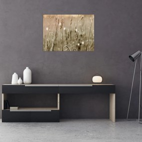 Obraz na szkle - Harmonious Meadow (70x50 cm)