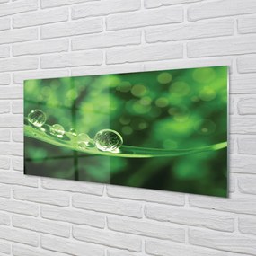 Szklany Panel Rosa w Przybliżeniu