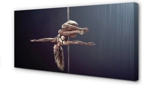 Obraz na płótnie Taniec na Rurze
