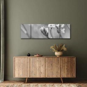 Obraz - Kwitnący kwiat (170x50 cm)