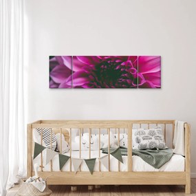 Obraz różowego kwiatu róży (170x50 cm)