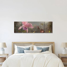Obraz - Martin Johnson Heade, Cattleya Orchid and Three Hummingbirds, reprodukcje (170x50 cm)