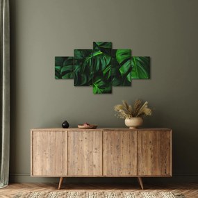 Obraz liści Monstery (125x70 cm)