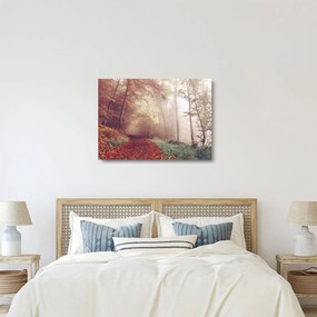 Obraz na szkle - Jesienny spacer po lesie (70x50 cm)