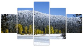 Obraz - ośnieżone góry zimą (125x70 cm)