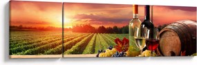 Obraz winnicy z winem (170x50 cm)