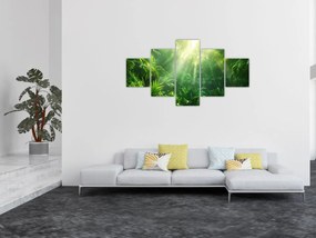 Obraz - Las deszczowy (125x70 cm)