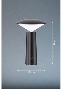 Lampa zewnętrzna LED ze ściemniaczem i czujnikiem ruchu ø 14 cm Pinto – Fischer &amp; Honsel