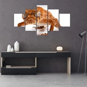Obraz jaszczurki (125x70 cm)
